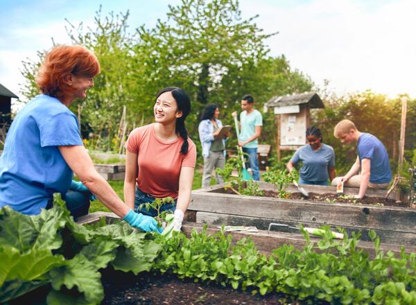 Group of people working in raised beds gardens